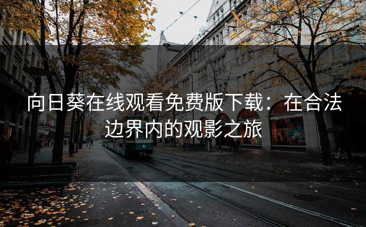 向日葵在线观看免费版下载：在合法边界内的观影之旅