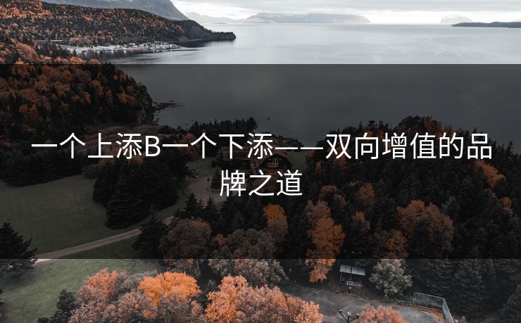 一个上添B一个下添——双向增值的品牌之道